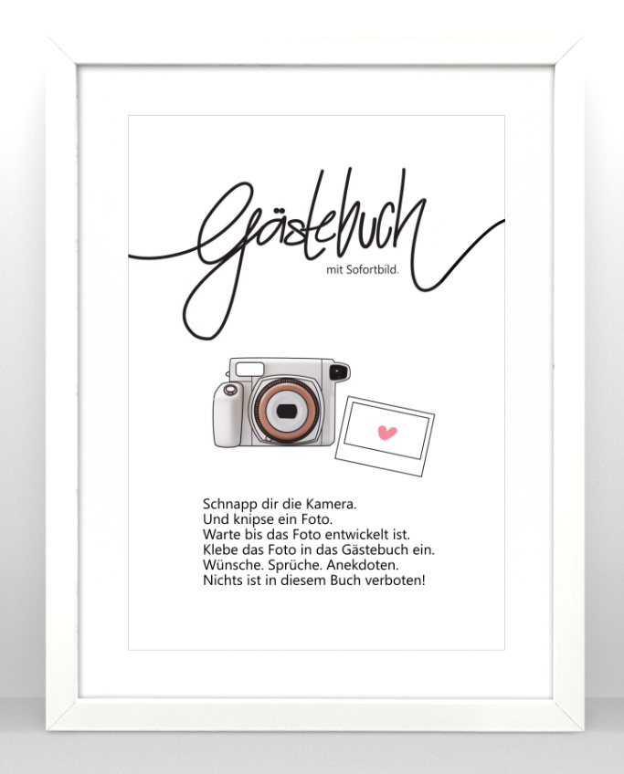 Instax Wide 300 cover